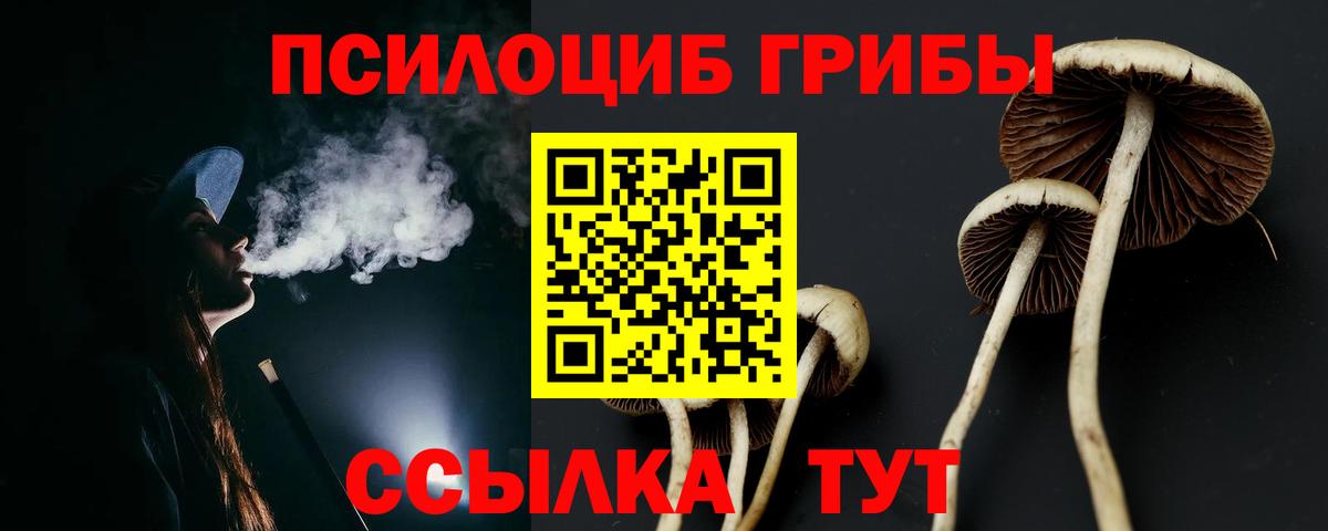 даркнет сайт  Вход с VPN  Псилоцибиновые грибы MAGIC MUSHROOMS  Троицк  Галлюциногенные грибы прущие грибы 